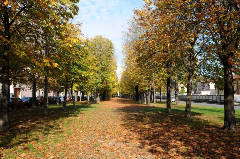 Tesori nascosti – foto 2