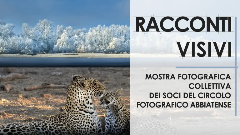 RACCONTI VISIVI