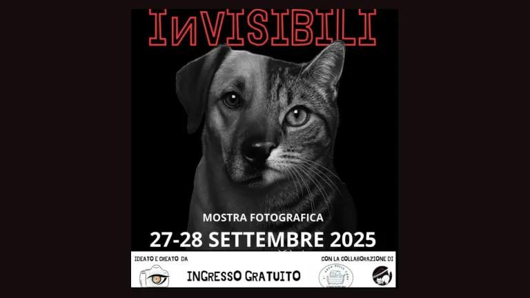 INVISIBILI