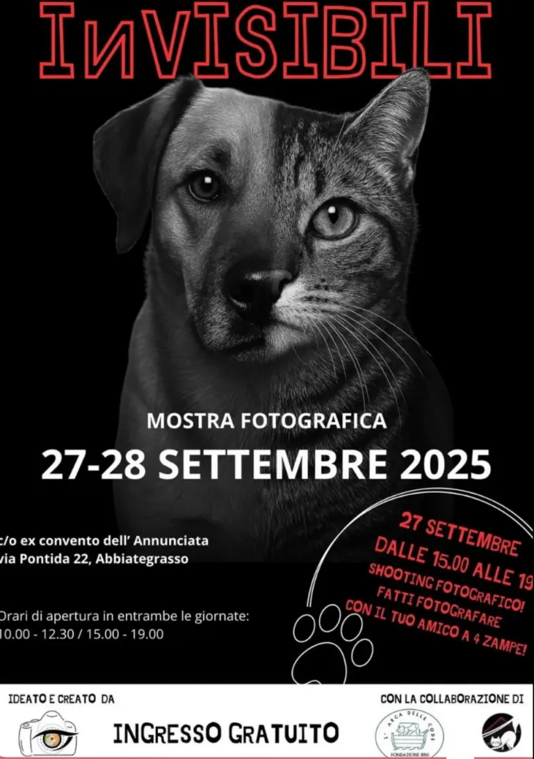 INVISIBILI – foto 2