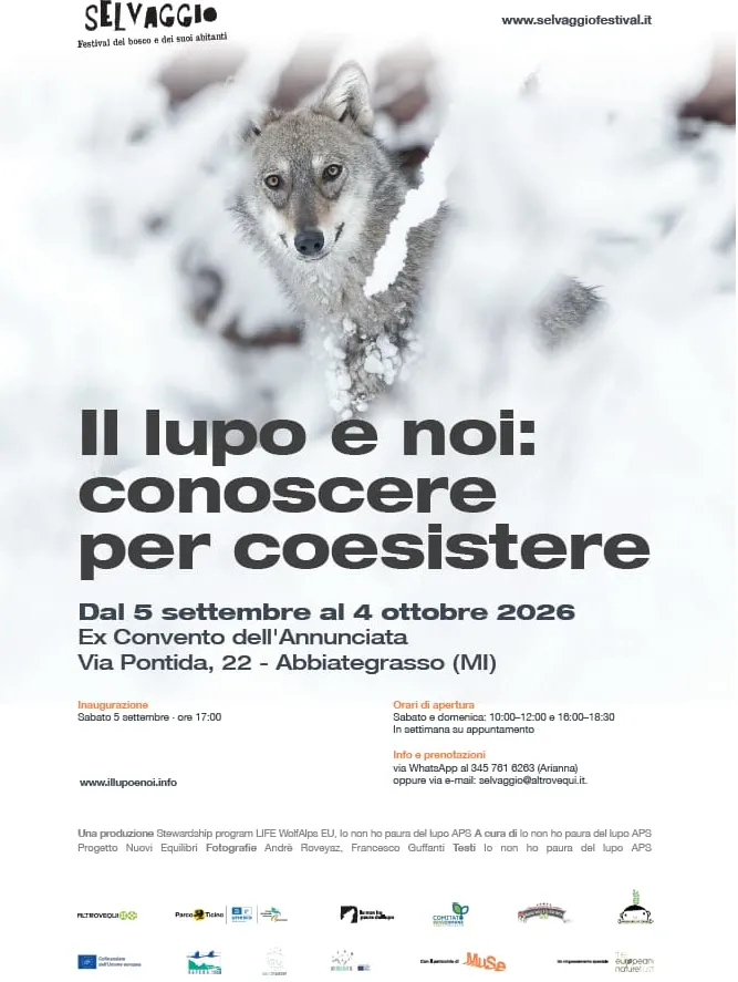 Il lupo e noi: conoscere per coesistere – foto 2