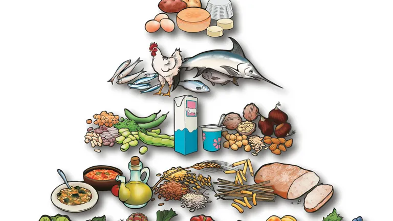 MERCEOLOGIA ALIMENTARE