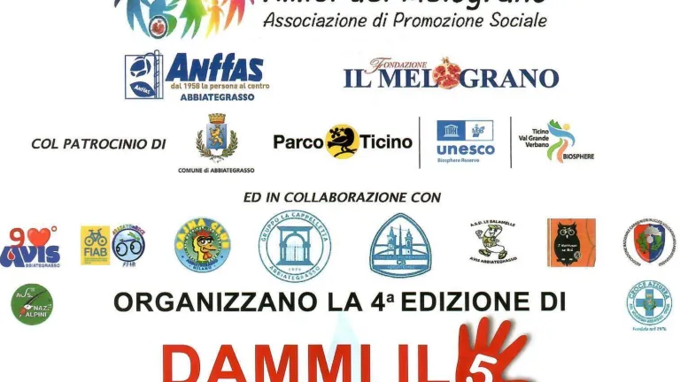 DAMMI IL 5