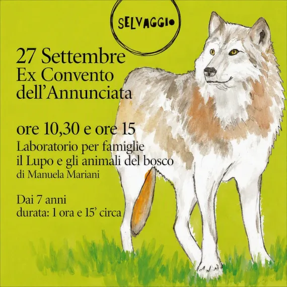 Il Lupo e gli animali del bosco – foto 2