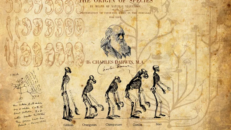IN VIAGGIO CON CHARLES La storia della vita e della sua evoluzione