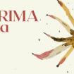 la PRIMA era