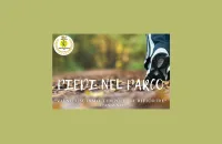 Piedi nel parco