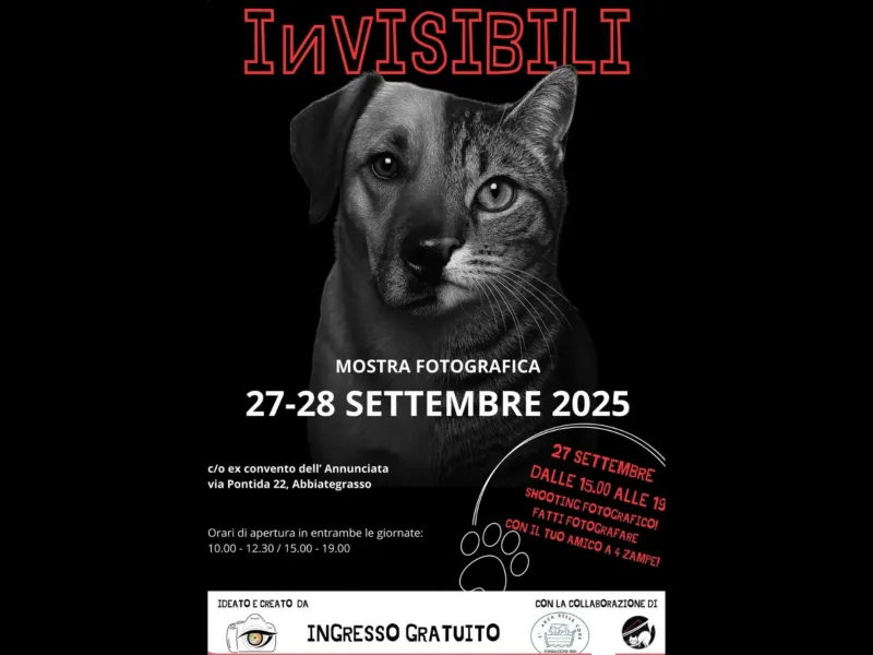 Eventi in Abbiategrasso: INVISIBILI